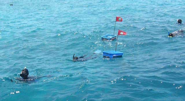 ހަނިފަރު ސަރަހައްދުގައި ގަވައިދާ ޚިލާފަށް ބަޔަކު މަސްހިފަނީ -- ފޮޓޯ / ބަޔޮސްފިއާ ރިޒާވް