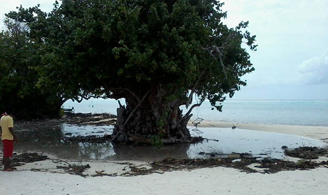 ބ. ފެހެންދޫއަށް އުދައަރާފައި-- އީޓީ ފޮޓޯ / ޒުހުދާ