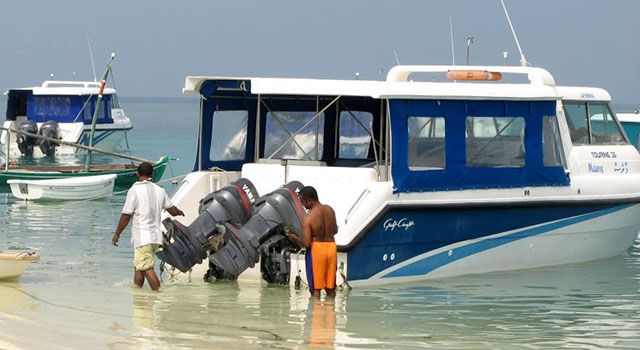 ފޭލިން އިންޖީނު މަރާމަތުކުރަން ދަސްކޮށްދޭ ކޯހެއް ފަށަނީ