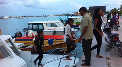 އެނިމޭޝަން ބޭންޑުގެ ފަންނާޏުން ހަވީރު އޭދަފުއްޓަށް ފައިބަނީ. މިރޭ ޝީގައި އެ ބޭންޑުގެ ފޯރިގަދަ ނެށުންތައް ހުށަހަޅައިދޭނެ