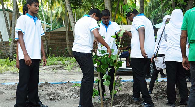 އަމިއްލަފުށި ރިސޯޓުގައި ގަސް އިންދުމަށް އިއްޔެ ބޭއްވި ޕްރޮގްރާމްގައި ބ. އަތޮޅު ތައުލީމީ މަރުކަޒުގެެ ދަރިވަރުންތަކެއް ގަސް އިންދަނީ -- ފޮޓޯ: ބ. އަތޮޅު ތައުލީމީ މަރުކަޒު