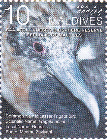 ދިހަ ލާރީގެ ސްޓޭމްޕް