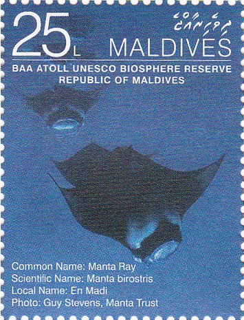 ފަންސަވީސް ލާރީގެ ސްޓޭމްޕް