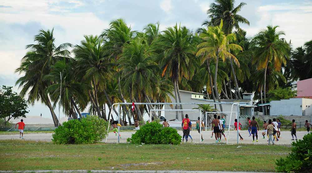 ނަޒީރު ހަދައިދޭ ޓާފު ދަނޑު އަޅަން ބަޔަކާ ހަވާލުކޮށްފި؟!