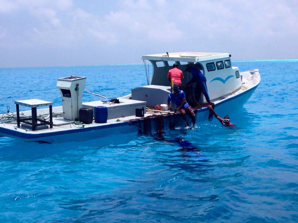 ހަނިފަރު ސަރަހައްދުގައި އެންދަމަން އުޅުނު ބަޔަކު އަތުލައިގެންފި