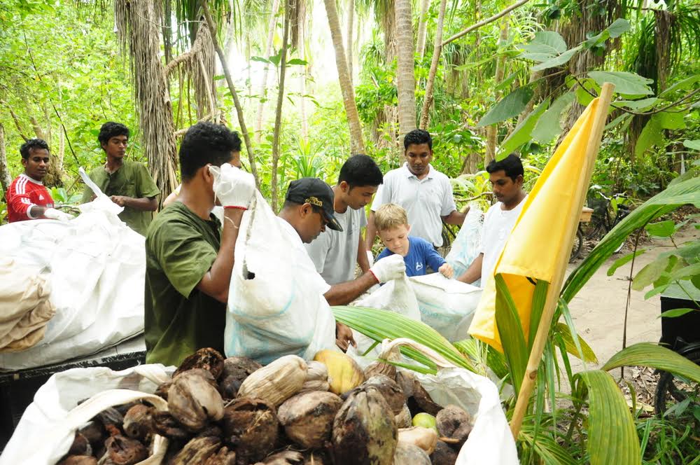 ސޮނެވާފުށީގައި ކާށި ހޮވުމުގެ މުބާރާތެއް ބާއްވައިފި