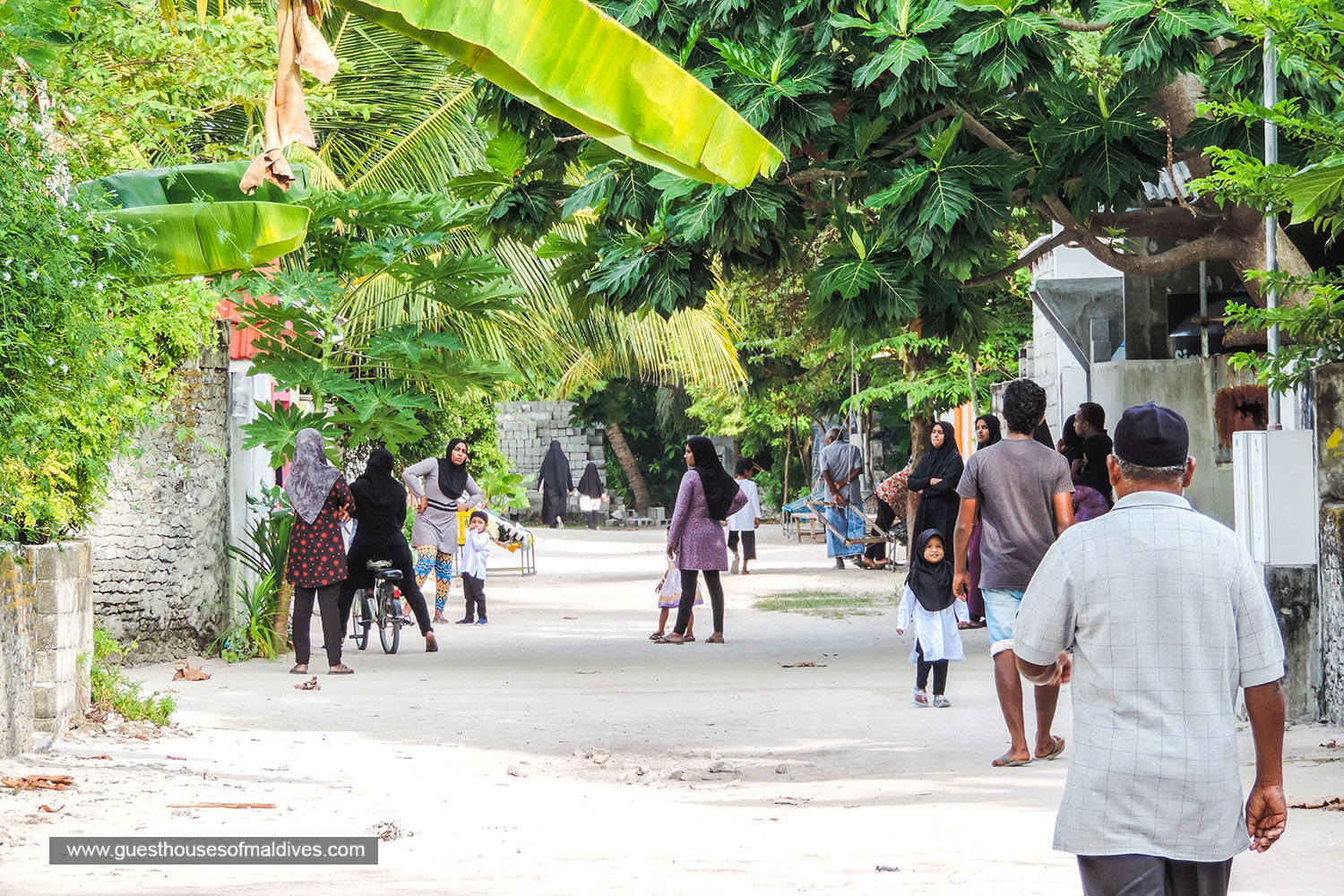 ކެންދޫ ކައުންސިލުން ކޭކު އަޅަން ދަސްކޮށްދޭ ކޯހެއް ފަށަނީ