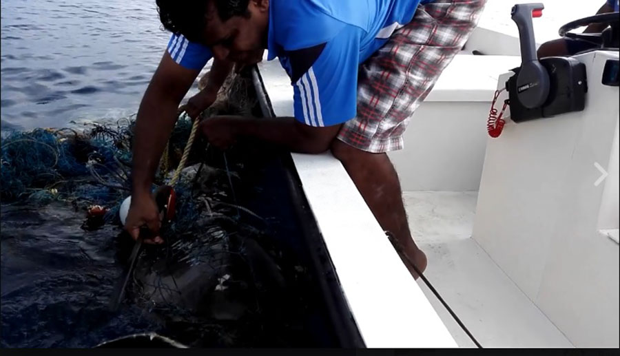 ދަލެއްގައި ޖެހުނު ވެލައެއް ކެންދޫ ކައުންސިލުގެ ރައީސް ސަލާމަތްކޮށްދީފި