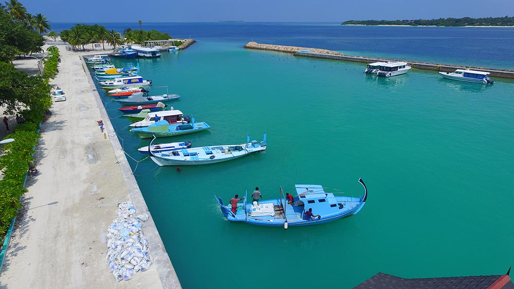 އޭދަފުށީގައި ނިޔަމި ކޯހުގެ ކޯހެއް ފަށަނީ