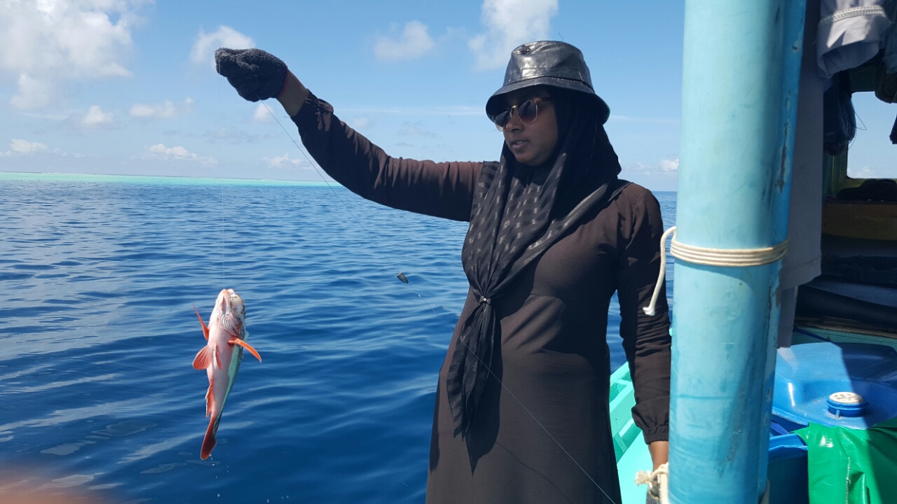 ފެހެންދޫ އަންހެނުންވެސް މަސްވެރިކަމުގައި!