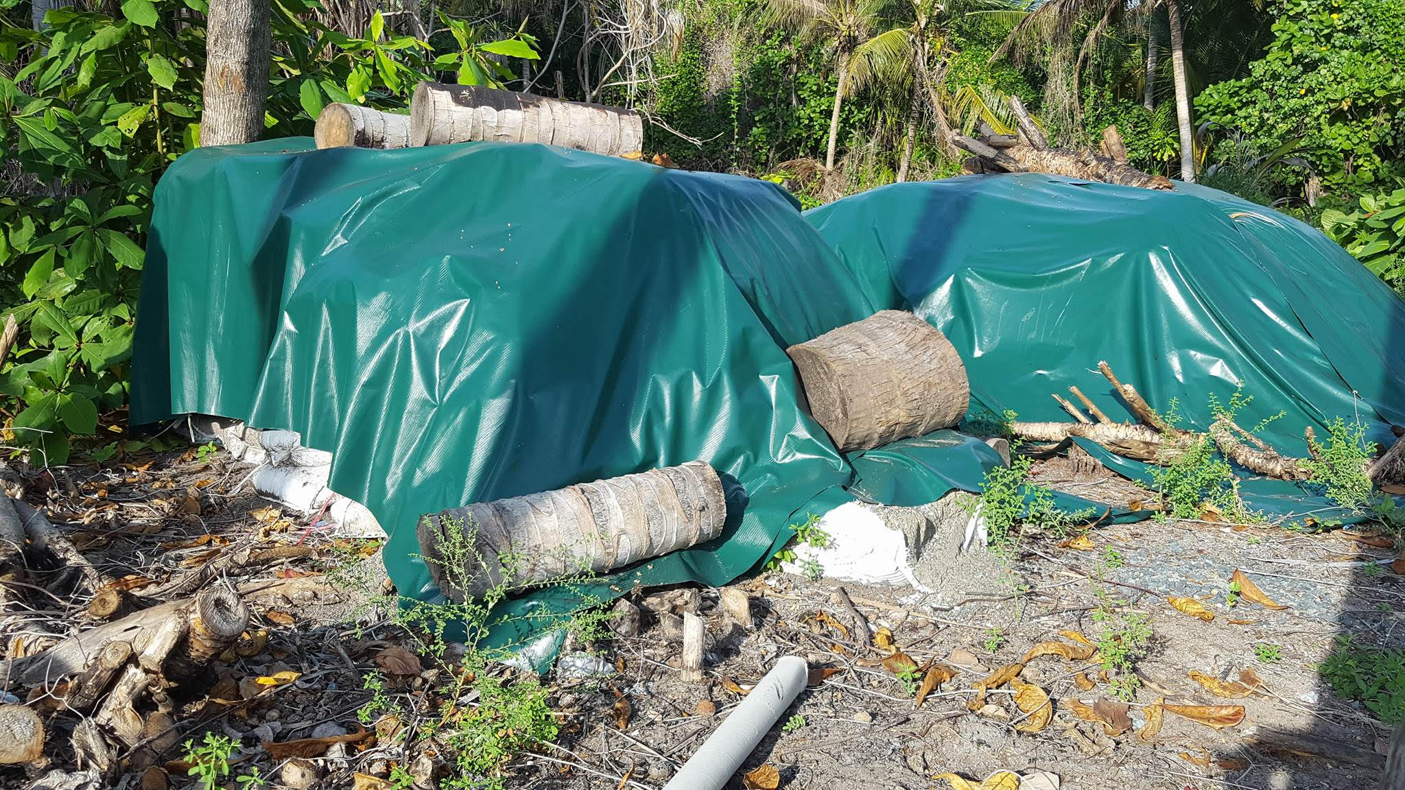 ފެހެންދޫގަ އަލަށް ހަދާ އިންޖީނުގެ ހެދުމަށް ގެނެސްފައި ހުރި ތަކެތި | އީޓީ ފޮޓޯ