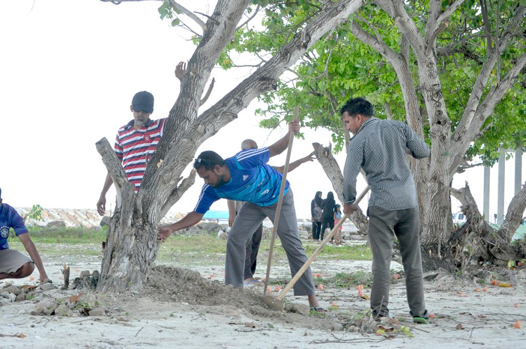 ރައީސް ޔާމީނަށް މަރުހަބާ ދެންނެވުމަށްޓަކައި ރަށުތެރެ ޒީނަތްތެރިކޮށް، އެ ސަރަހައްދު ސާފުކުރުމުގެ މަސައްކަތް ކުރަނީ.---ފޮޓޯ: ރާއިފް ޔޫސުފް