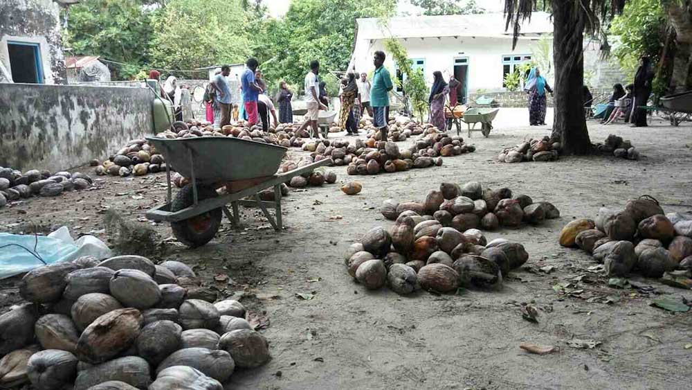 ކިހާދޫގައި ރޯދަ ހަދިޔާއަށް ކޮންމެ މީހަކަށް 5 ކާށި