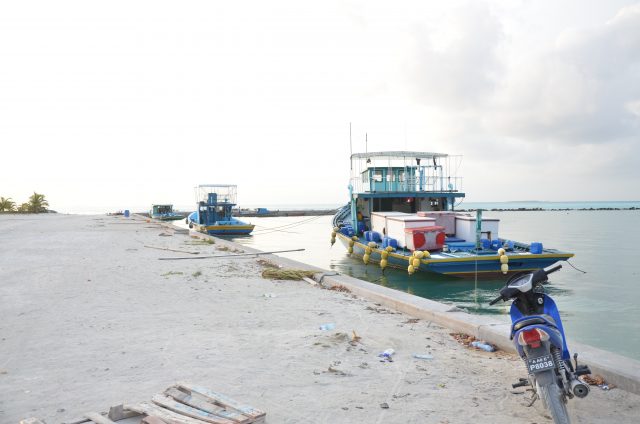 ތުޅާދޫން ގިނަ އަދަދެއްގެ މަސްތުވާ ތަކެއްޗާއެކު މީހަކު އަތުލައިގެންފި