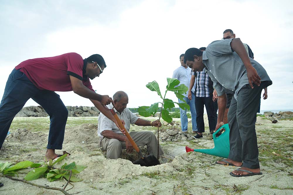 އޭދަފުށި ފެހިކުރުމުގެ ކެމްޕޭނެއް ފަށައިފި