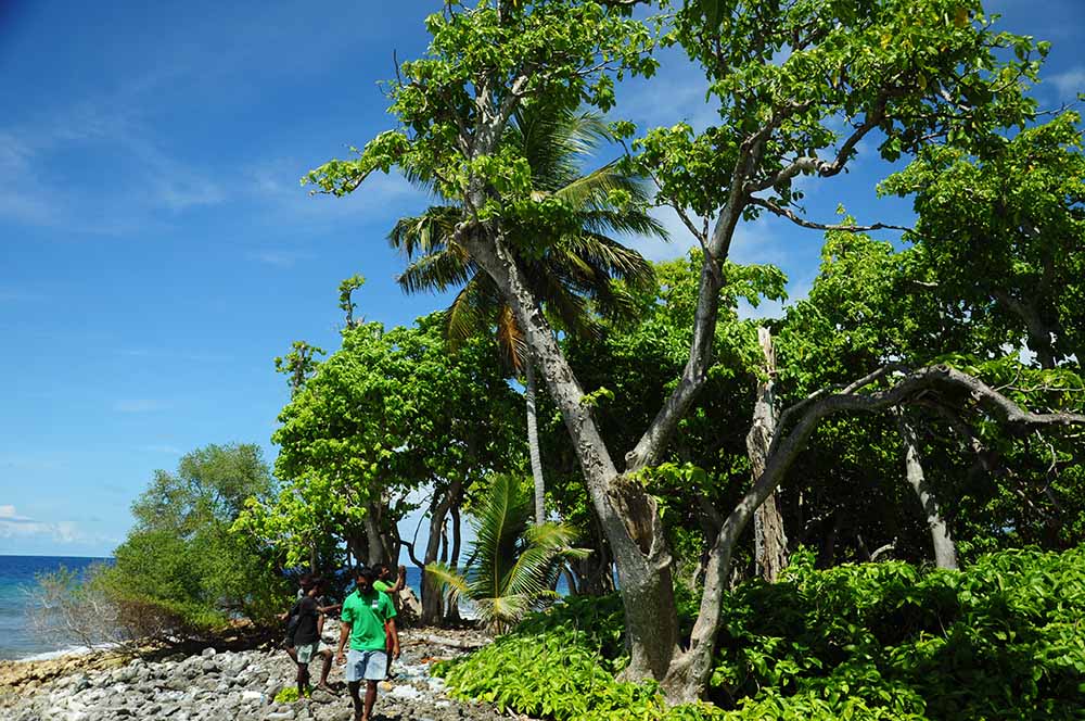 އޮޅުގިރީގެ މެނޭޖްމެންޓް ޕްލޭން ތަންފީޒުކުރަން ފަށަނީ