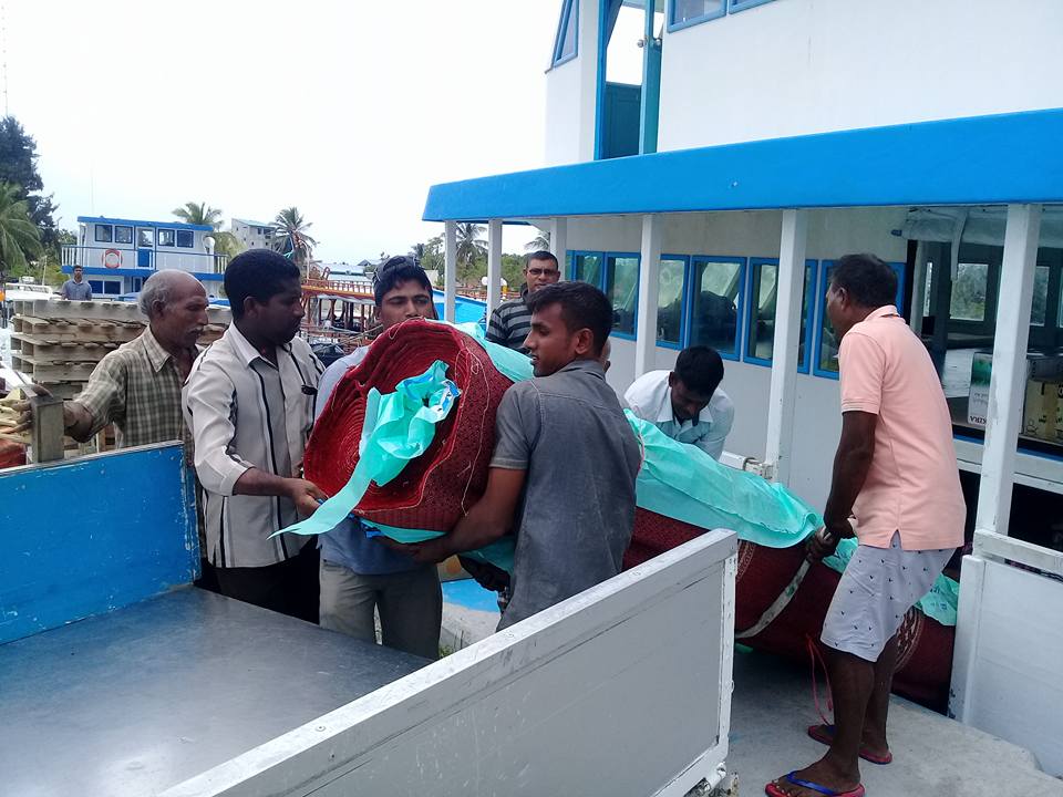 މެޑްޓެކުން އޭދަފުށީ ބޮޑު މިސްކިތަށް ކާޕެޓް ހަދިޔާކޮށްފި