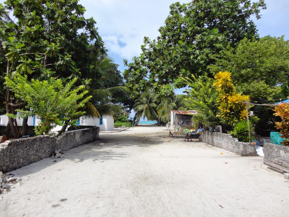 ފެހެންދޫ ފެނަކަ އޮފީހުގެ މުވައްޒަފުން މަގުމަތިވެއްޖެ