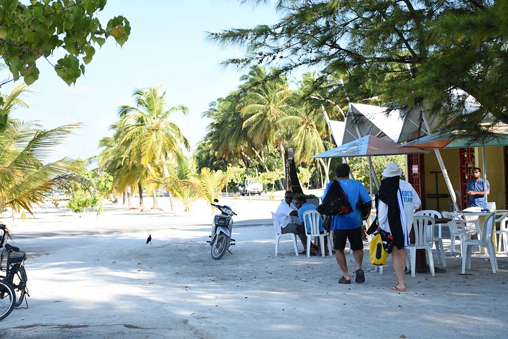 މަސްތުވާތަކެތީގެ ވިޔަފާރިކުރާ މީހަކު ދަރަވަންދޫން ހައްޔަރުކޮށްފި