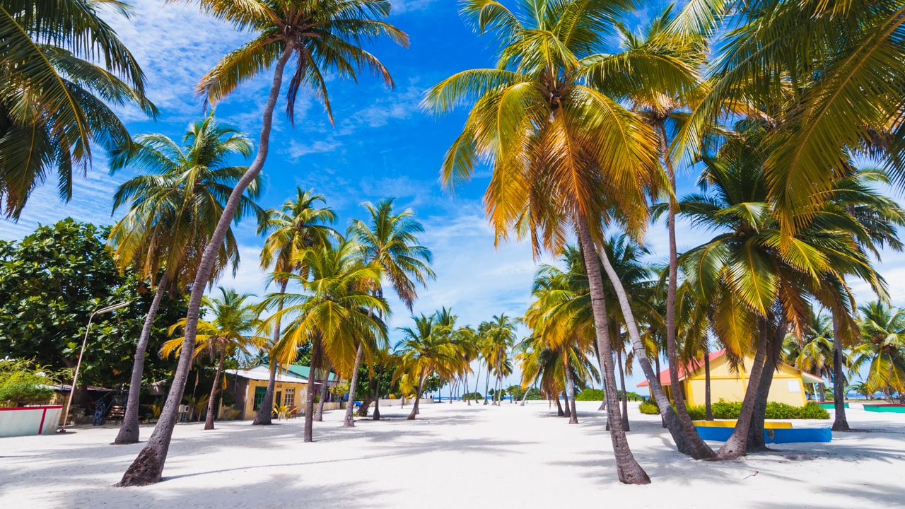 ތުޅާދޫ އަދި ކަމަދޫ ކައުންސިލް އުވާލަން ޖެހިދާނެ ކަމުގެ އިންޒާރު ދީފި