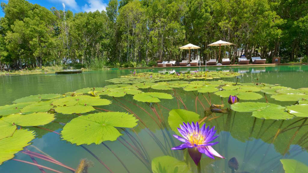 ޑްރީމްލޭންޑް ނަމުގައި ބ. އަތޮޅުގައި އާ ރިސޯޓެއް ހުޅުވައިފި