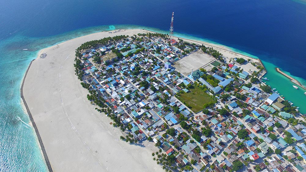 އިންތިހާބާ ދިމާކޮށް އޭދަފުށިން ގޯތި ދޫކުރަނީ