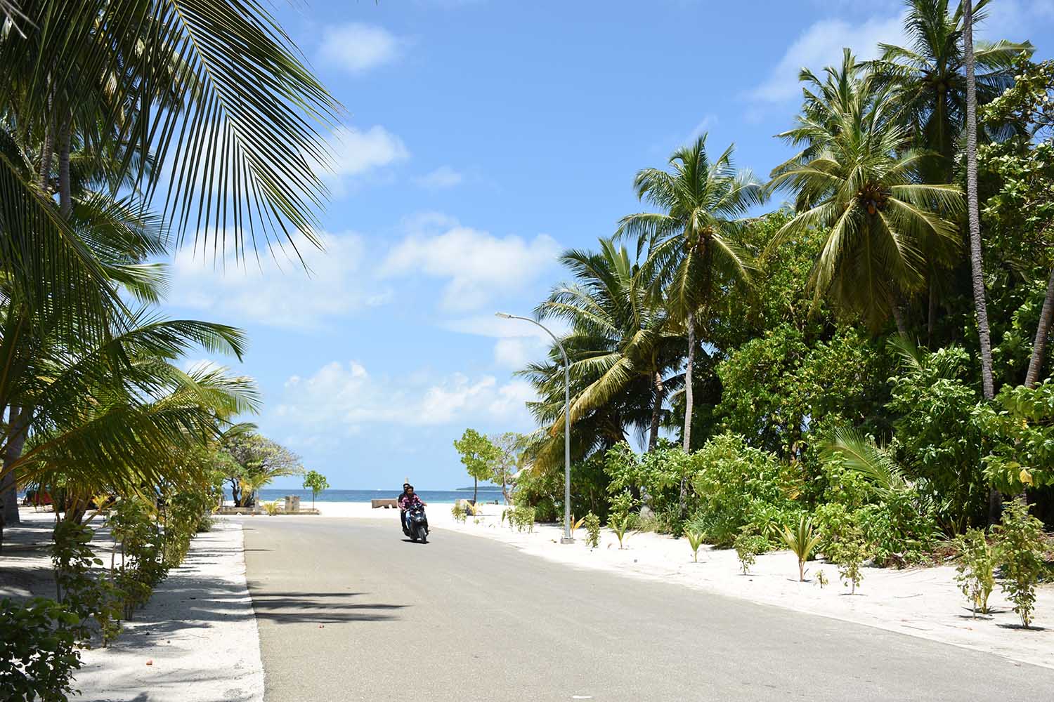 ދަރަވަންދޫއަށް މަސްތުވާތަކެތި އެތެރެކުރަން އުޅުނު މީހަކު އަތުލައިގެންފި