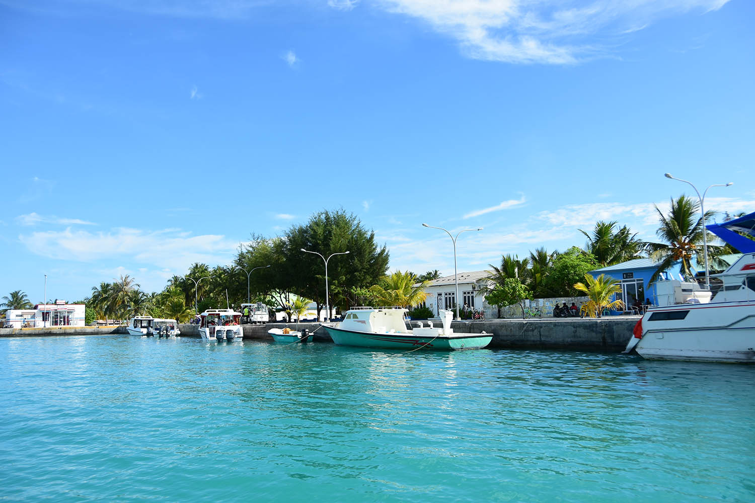 ގިނަ އަދަދެއްގެ މަސްތުވާތަކެއްޗާއެކު ދަރަވަންދޫން މީހަކު ހައްޔަރު ކޮށްފި