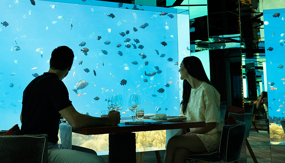 އެންމެ ހިތްގައިމު މޫދު އަޑީގެ ރެސްޓޯރަންޓް އެވޯޑް އަނަންތަރާ އަށް