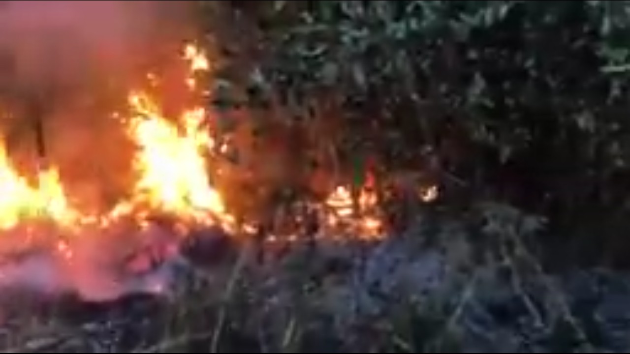 ދަރަވަންދޫ ވަލުތެރޭ ބޮޑު ސަރަހައްދެއްގައި ރޯވެ އަނދައި ހުލިވެއްޖެ