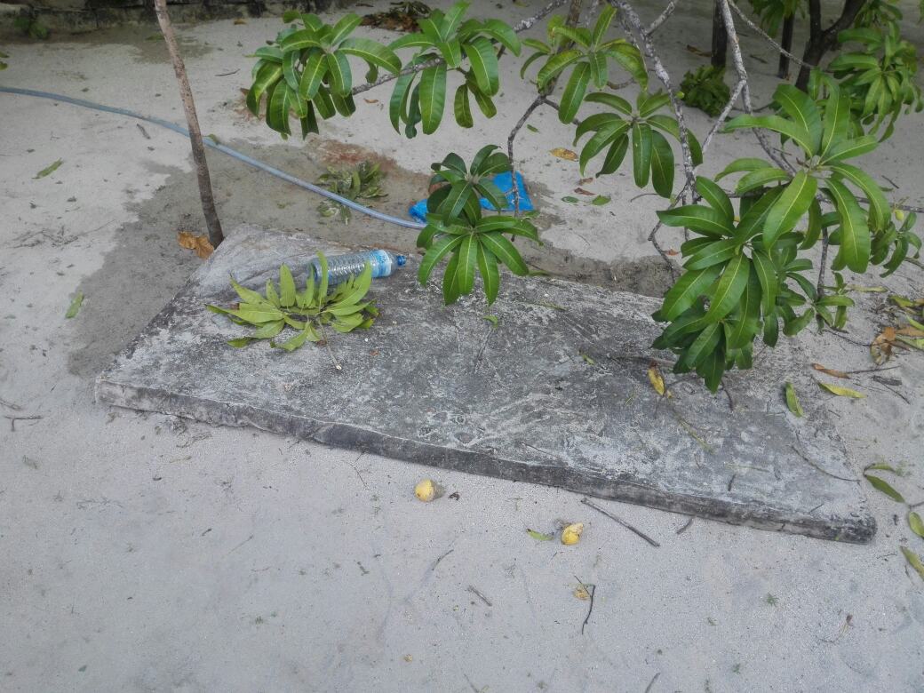 އަނބު ގަހަކުން ވެއްޓި ހިތާދޫ މީހަކަށް ސީރިއަސް އަނިޔާތަކެއް