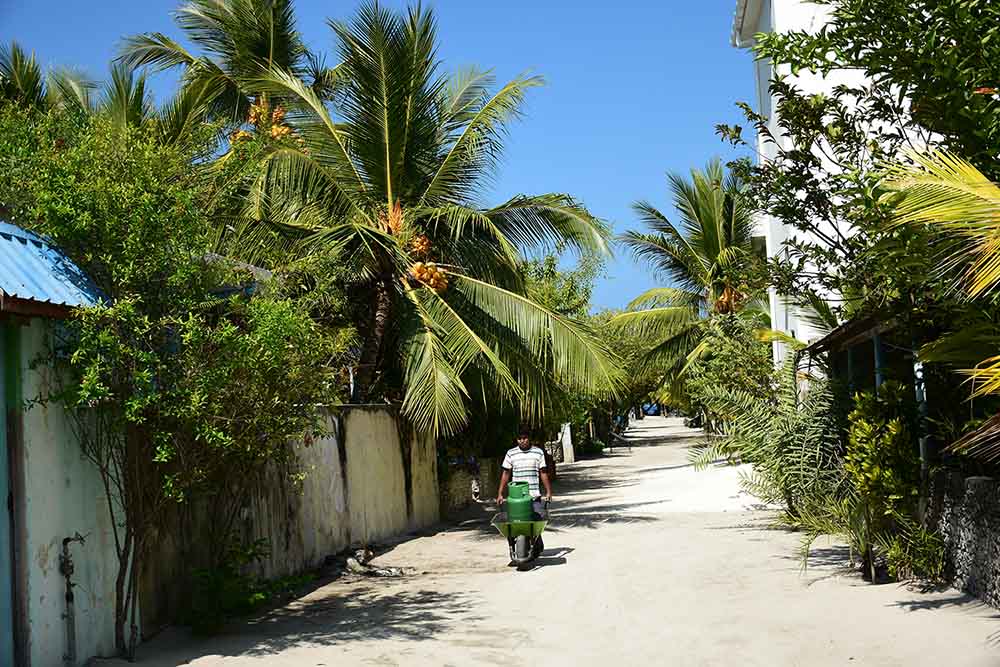 ރޯދަ ހަދިޔާގެ ގޮތުގައި ކަމަދޫގައި މަސްދަޅާއި އަލަނާސި ދަޅު ބަހަނީ