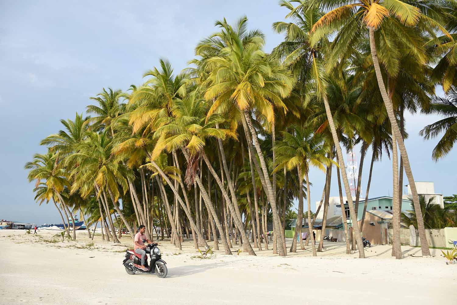 އޭދަފުއްޓާއި ތުޅާދޫން ގޯތި ދޫކުރަން ނިންމާފައިވާ ކަން ރައީސް އިއުލާން ކުރައްވައިފި