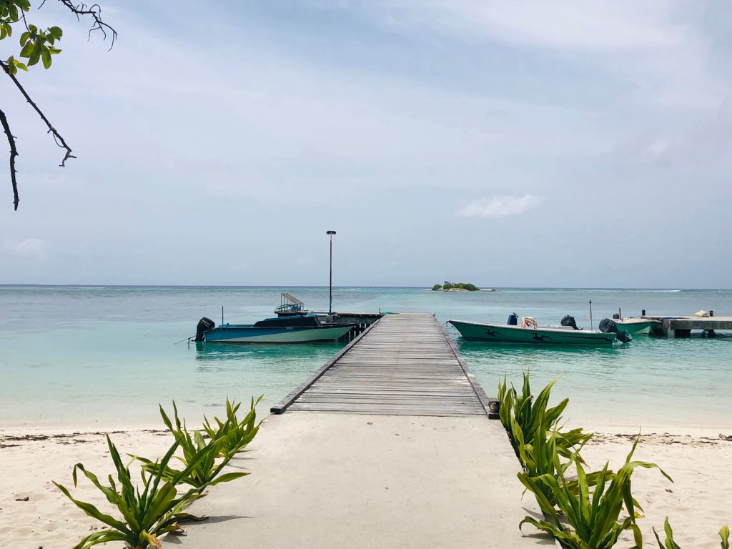 އުއްމީދުކުރަނީ ފެހެންދޫ ރައްޔިތުންނަށް ހައްގުވާ މިންވަރު ލިބޭނެ ކަމަށް: މޫސާ ނަސީމް