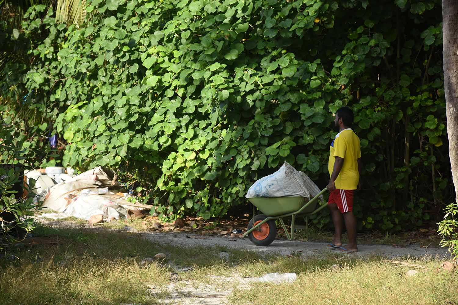 ހިތާދު އާއި ދޮންފަނުގައި ކުނި މެނޭޖުކުރާ މަރުކަޒު އެޅުމަށް ބަޔަކާ ހަވާލުކޮށްފި