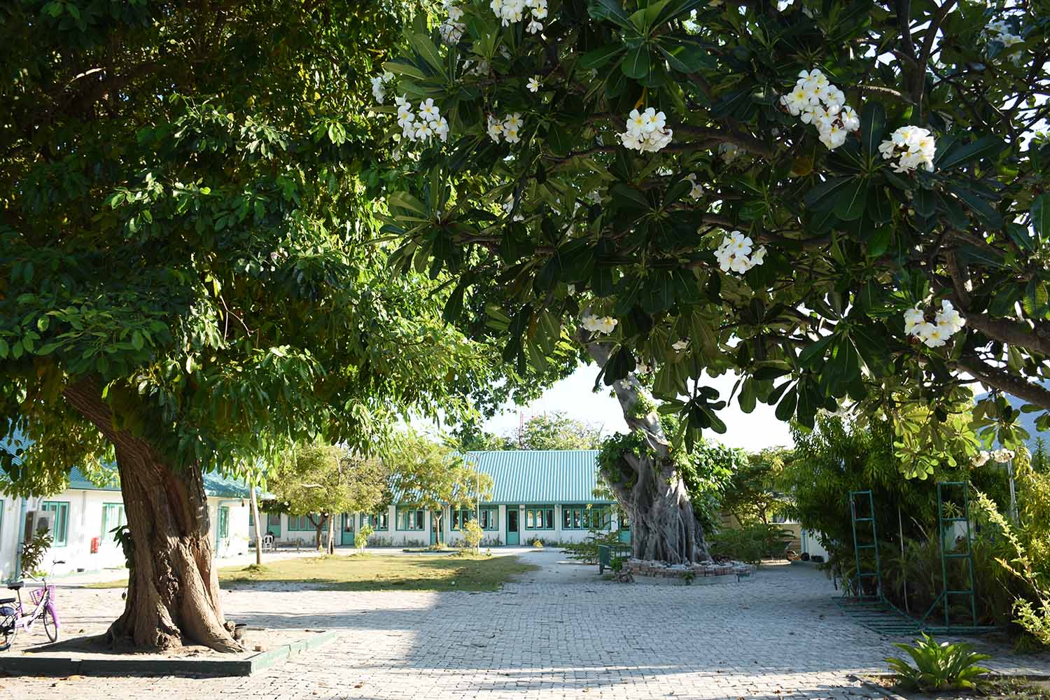 ރޫހާނީ ކަންތައްތަކެއް ހިނގާކަމަށްބުނެ ތުޅާދޫ ސްކޫލްގައި ތަޅު އަޅުވައިފި