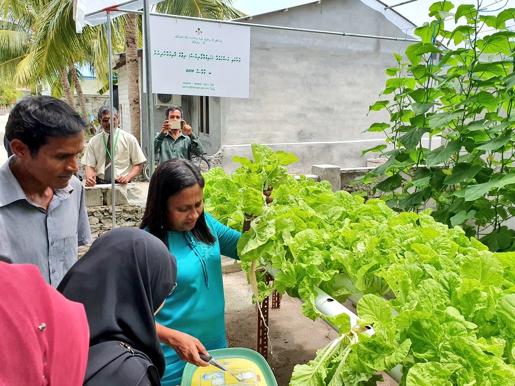 ފެނުގައި ދަނޑުވެރިކަން ކުރުމުގެ ޕްރޮގްރާމެއް މާޅޮހުގައި އިފްތިތާހުކޮށްފި