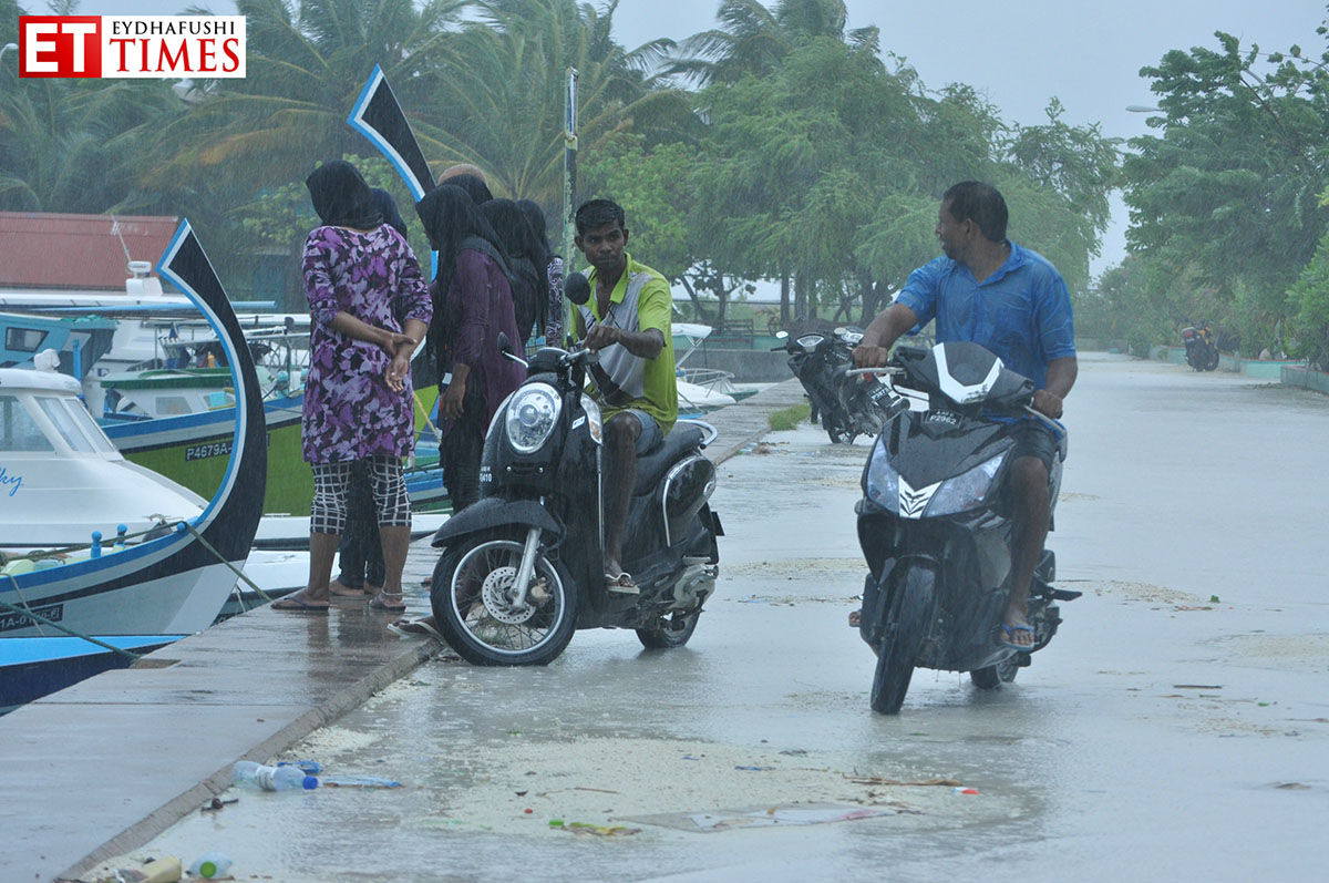 މޫސުން ގޯސްވެ ޔެލޯ އެލާޓް ނެރެފި