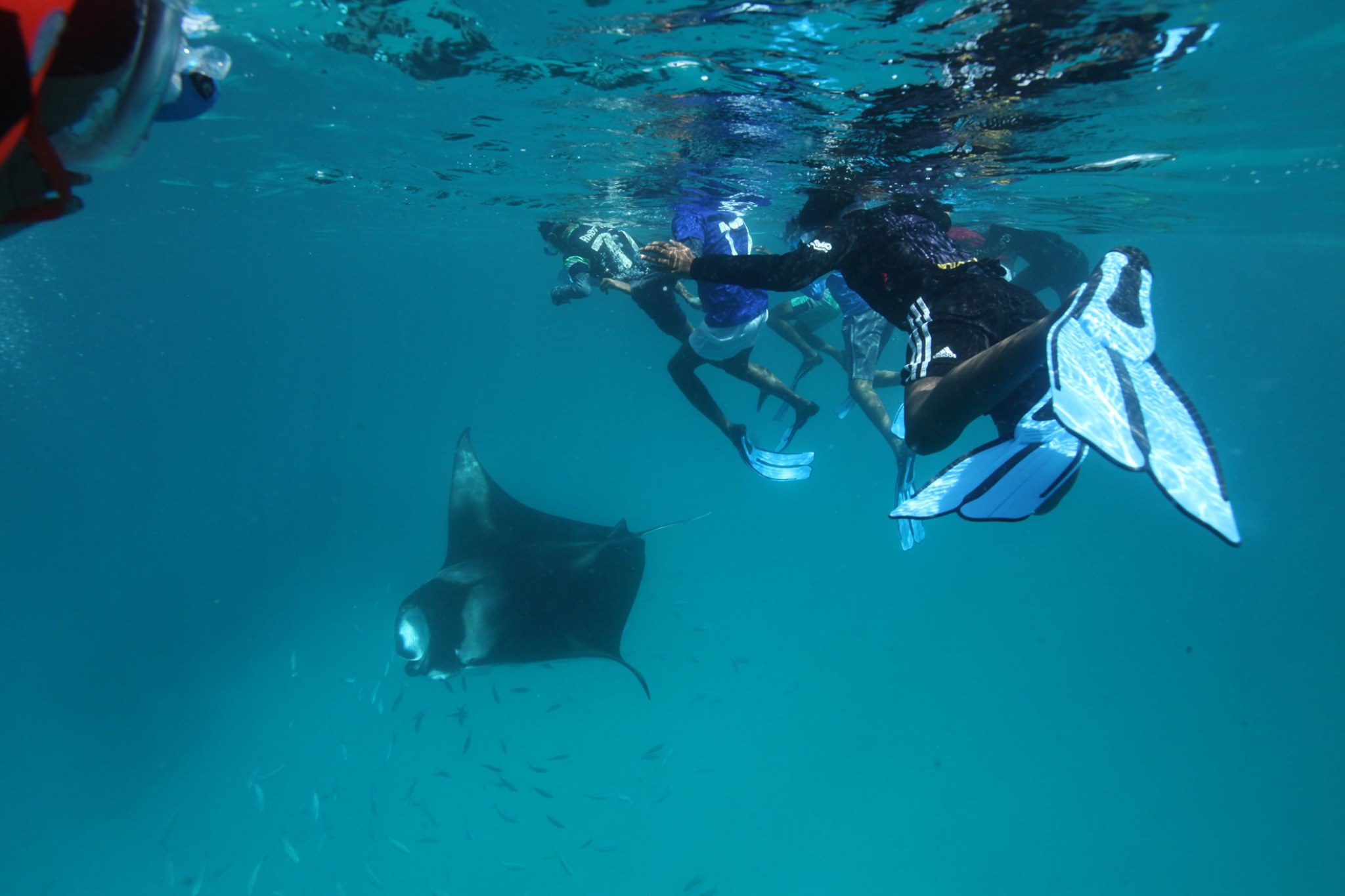 މަންތާ ފެސްޓިވަލްގެ މީޑިއާ ޕާޓްނަރަކަށް އީޓީ