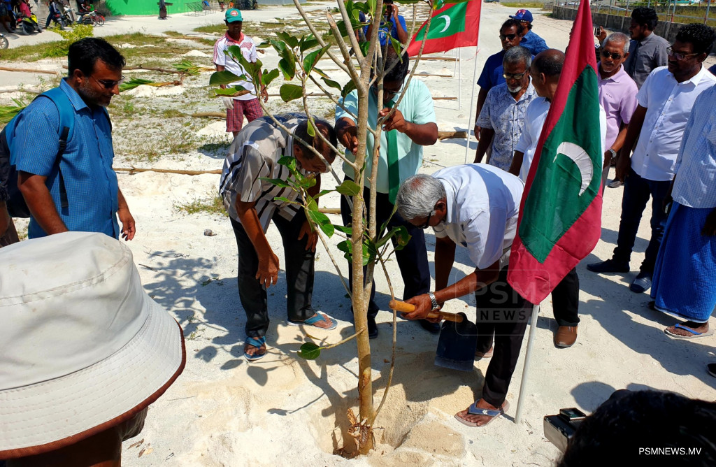 ތުޅާދޫ ފެހިކުރަން ކިހާދޫ ރައްޔިތުން ގަސް އިންދައިފި
