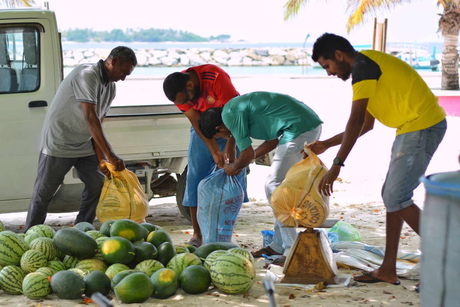 ކޮވިޑް-19: ރޯޔަލް ކަރަންޓީނު ފެސިލިޓީއަށް ފައިނުން ކަރާ ހަދިޔާކޮށްފި
