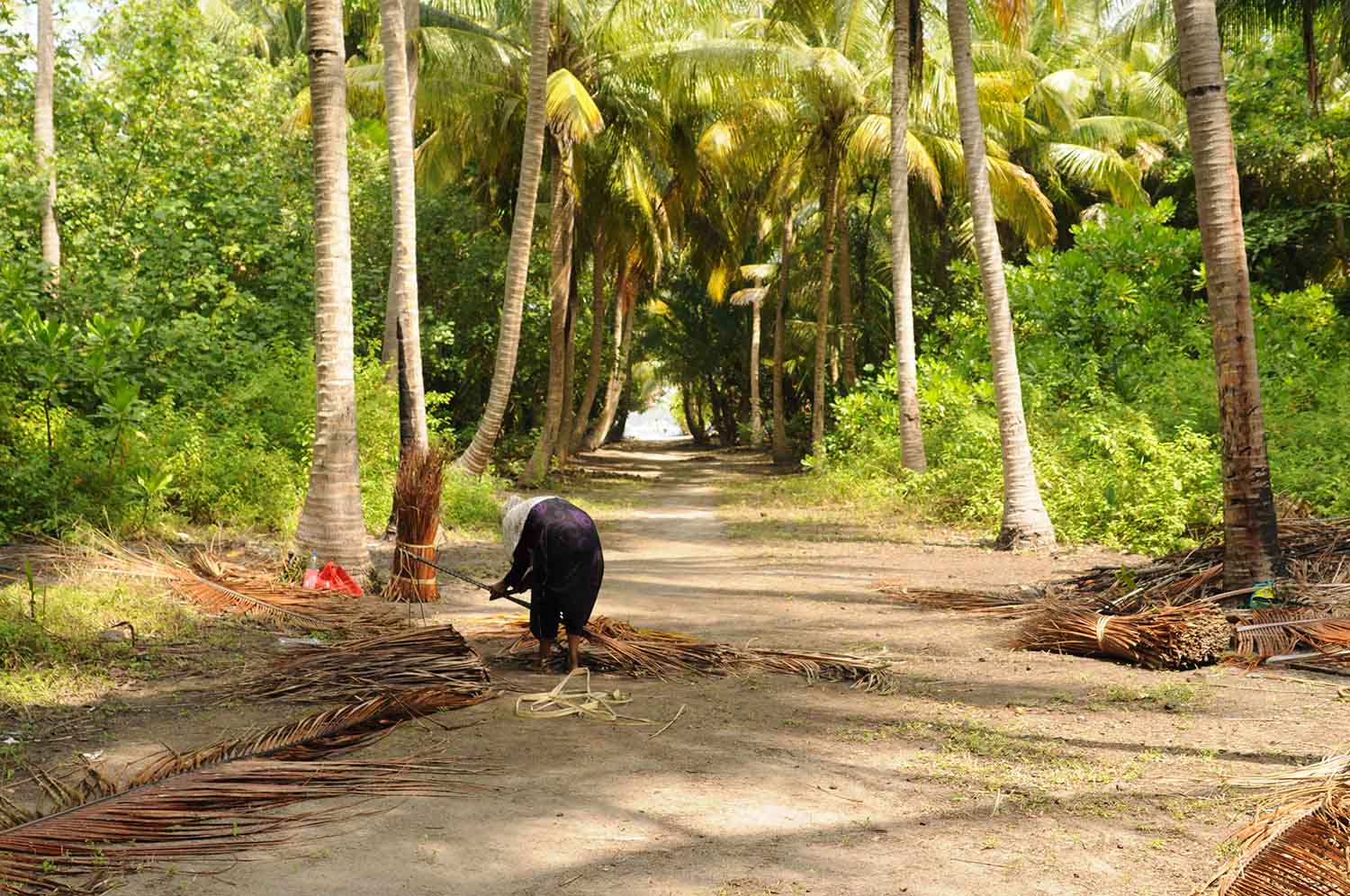 ދަނޑުވެރިކަމަށް ދޭ ރަށްތަކުގެ ބީލަމުގެ މުއްދަތު އިތުރުކޮށްފި