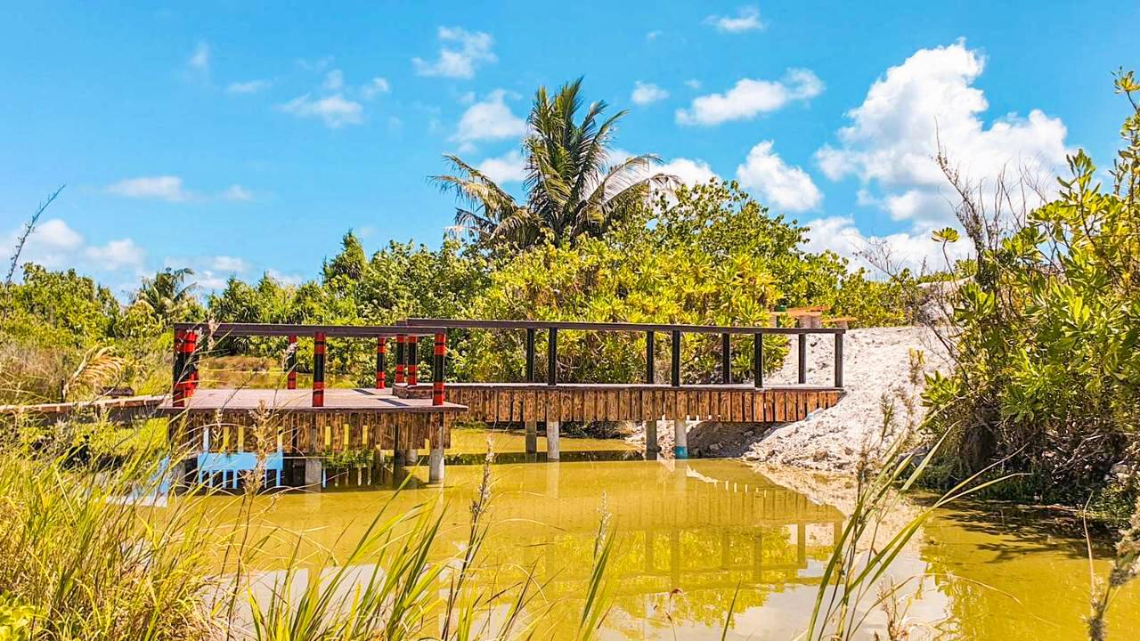 ބީއެމްއެލް ކޮމިއުނިޓީ ފަންޑުގެ އެހީގައި  ހޯނޑެއްދޫގައި ނޭޗާ ޕާކެއް