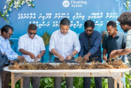 ފެހެންދޫގައި ހެއްދި މޫދުވިނަ އެކްސްޕޯޓްކުރަން ތައްޔާރުވެއްޖެ