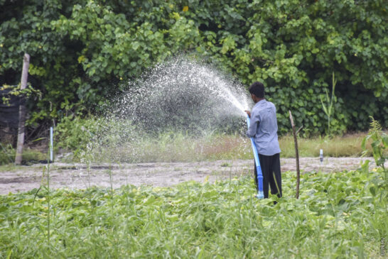 ކެންސަރު ކަންބޮޑުވުމާއެކު ގޮއިދޫ ދަނޑުތައް ބަލަން އެދެފި