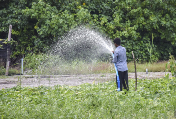 ކެންސަރު ކަންބޮޑުވުމާއެކު ގޮއިދޫ ދަނޑުތައް ބަލަން އެދެފި